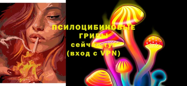 2c-b Арсеньев